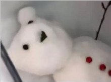 南方姑娘打开冰箱显摆自己的宝贝 网友看完笑岔气