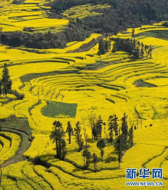 360截图-9305031.jpg
