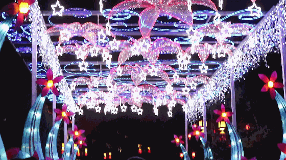 MVI_5820_clip1.gif