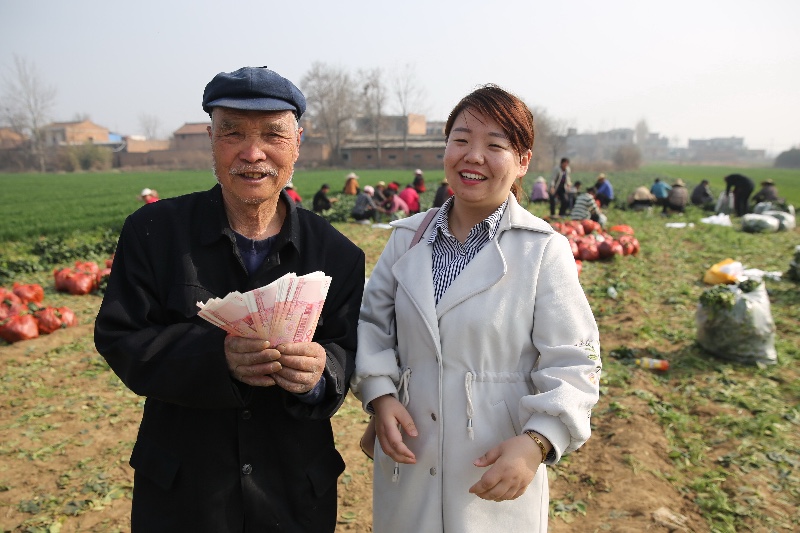 世间还是好人多！爱心企业将滞销的万余斤菠菜全部买走