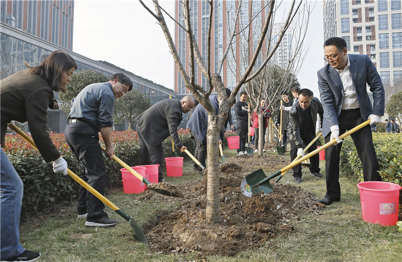 两小时合力栽种50棵树木 曲江新区携手企业共建绿色家园