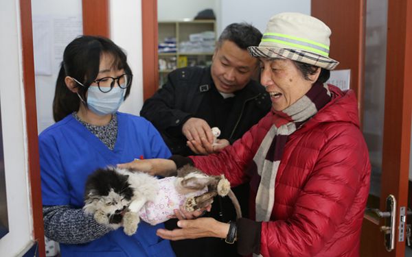 西安一小区住户暖心救助难产流浪猫 退休医生徒手为猫检查