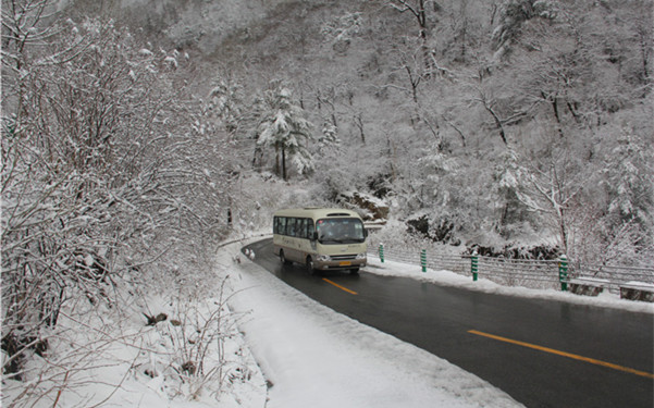 太白4月飞雪游客直呼穿越 最厚处积雪达25cm