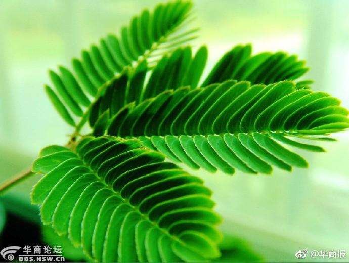 【每日最陕西】NO.1429 天然气要涨价?西安市