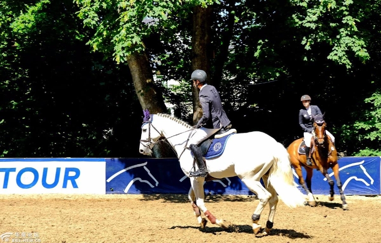 威斯巴登看赛马和马术表演-翱翔行摄欧洲之十