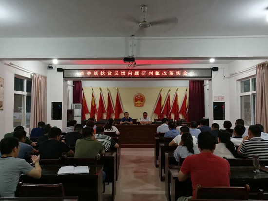 华州区杏林镇召开扶贫反馈问题研判整改落实会