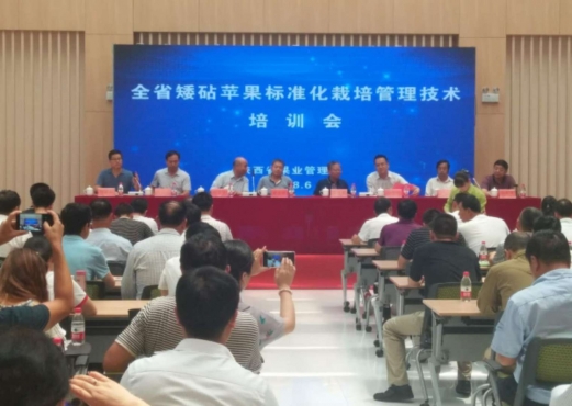 陕西省矮砧苹果标准化栽培管理技术培训会在宝