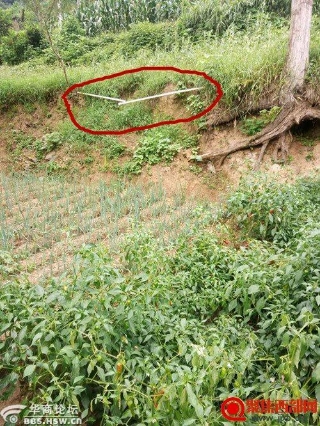 镇麻柳村干部弄虚作假骗取国家扶贫款,群众民不聊生