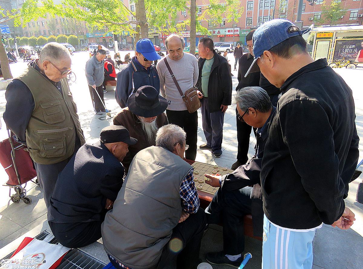 老人下棋参谋多