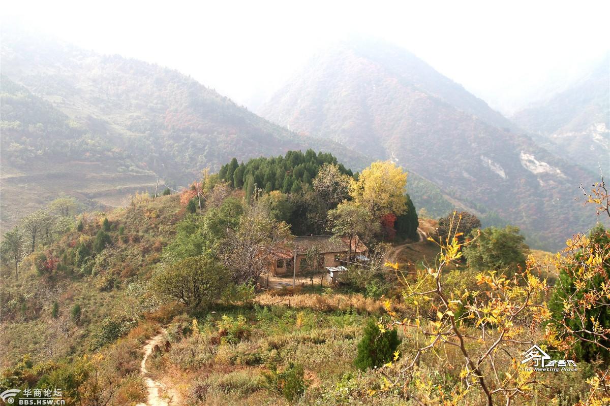 秋叶染红了天子峪东岭这里景色太漂亮了