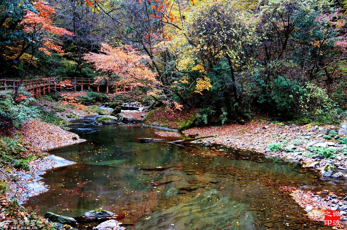 黎坪森林公园景区,国家AAAA级旅游景区,位于陕西省南郑县境内。2018年10月22日(周一)从西安早上八点自驾出发,过汉中后,接通知前方的汉黎路封闭,无奈绕道,过村穿道,路窄到无法错车,且路基毁坏,泥泞坑洼,如肠道盘曲,上上坡,下下下坡,好在越野车底盘高还算车身没弄的很脏,开了两个半小时的烂路还没个尽头,几近崩溃了。下午四点半终于来到了黎坪景区停车场,正逢2018年黎坪景区梦幻红叶节时间:10月20日至11月30日。就近最大的黎坪假日酒店网上推出红叶节期间仅需298元2张门票+1晚住宿套票,而前台给我们
