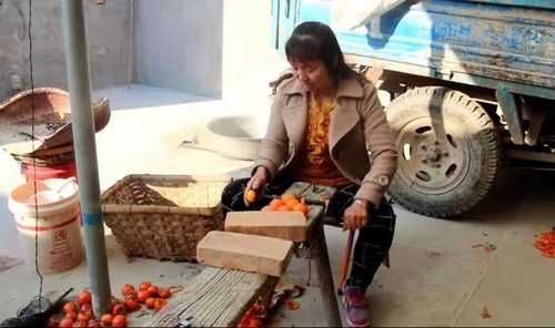 合阳县和家庄镇七一村杨文竹 孝心敲开致富门