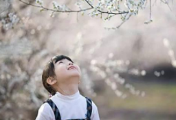 揭秘春捂秋冻！哪些人群需要春捂？温度多少需要春捂？