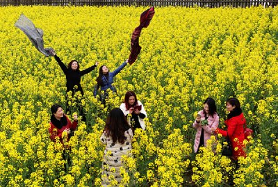 好天气来了！今明西安最高温超15℃ 晒被子、踏青很合适