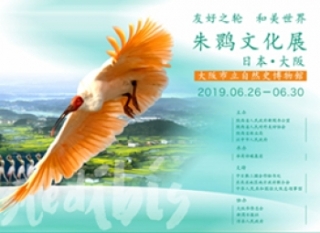 友好之轮 和美世界——朱鹮文化展