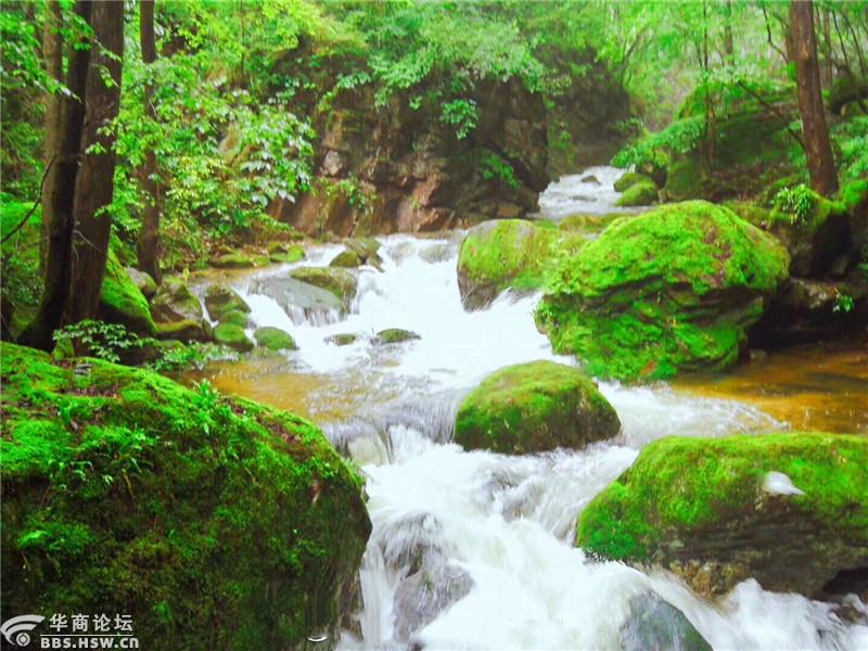 山水之间,虫鸣鸟叫,潺潺流水
