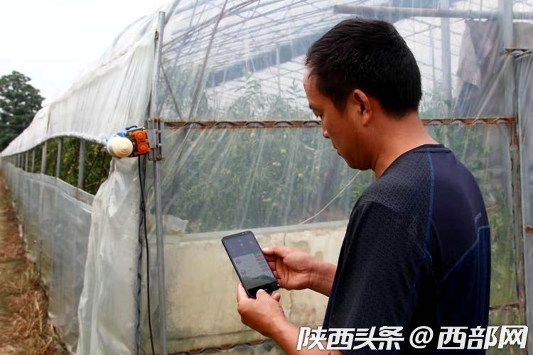 华商扶贫 新闻 正文 手机上可以控制通风口的调整还能对大棚温度