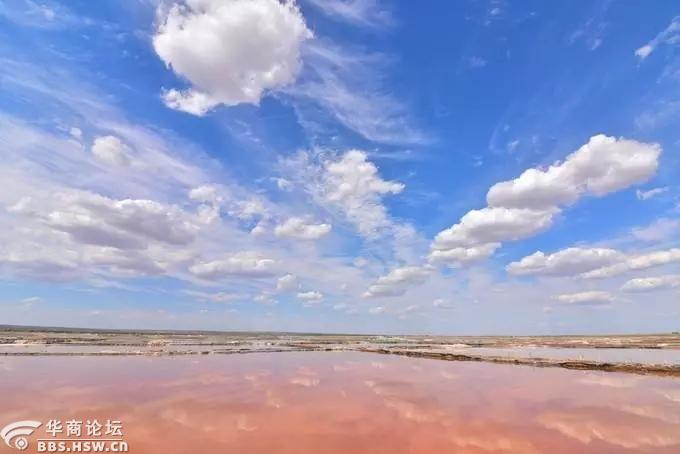 【青山户外】8月10-11日 定边荞麦花海/定边盐湖 2日休闲游