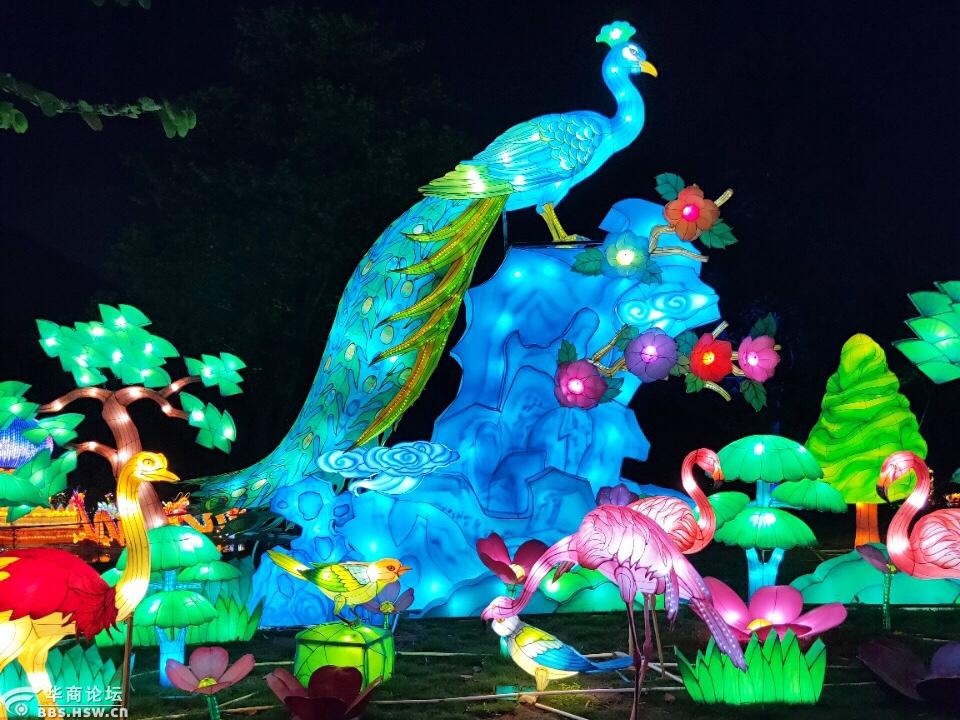 奇光异彩赏灯展
