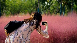 国庆假期去哪玩？沣河生态湿地公园景不错！