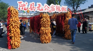宝鸡中国农民丰收节掠影--看看西府有啥特色