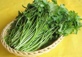 香菜有特殊香味，5大营养功效也让你惊叹