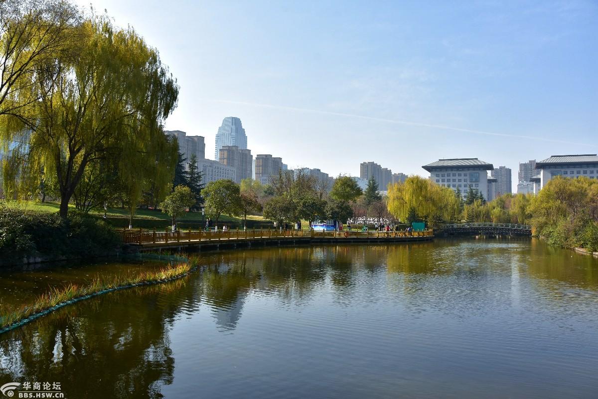 城市运动公园景色