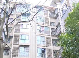 视频|几十张百元大钞漫天飘洒 熊孩子狂撒8000元收入