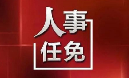 白菜省发布一队人事任免