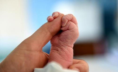 白菜省卫健委:婴幼儿照护服务发展任务已经布置