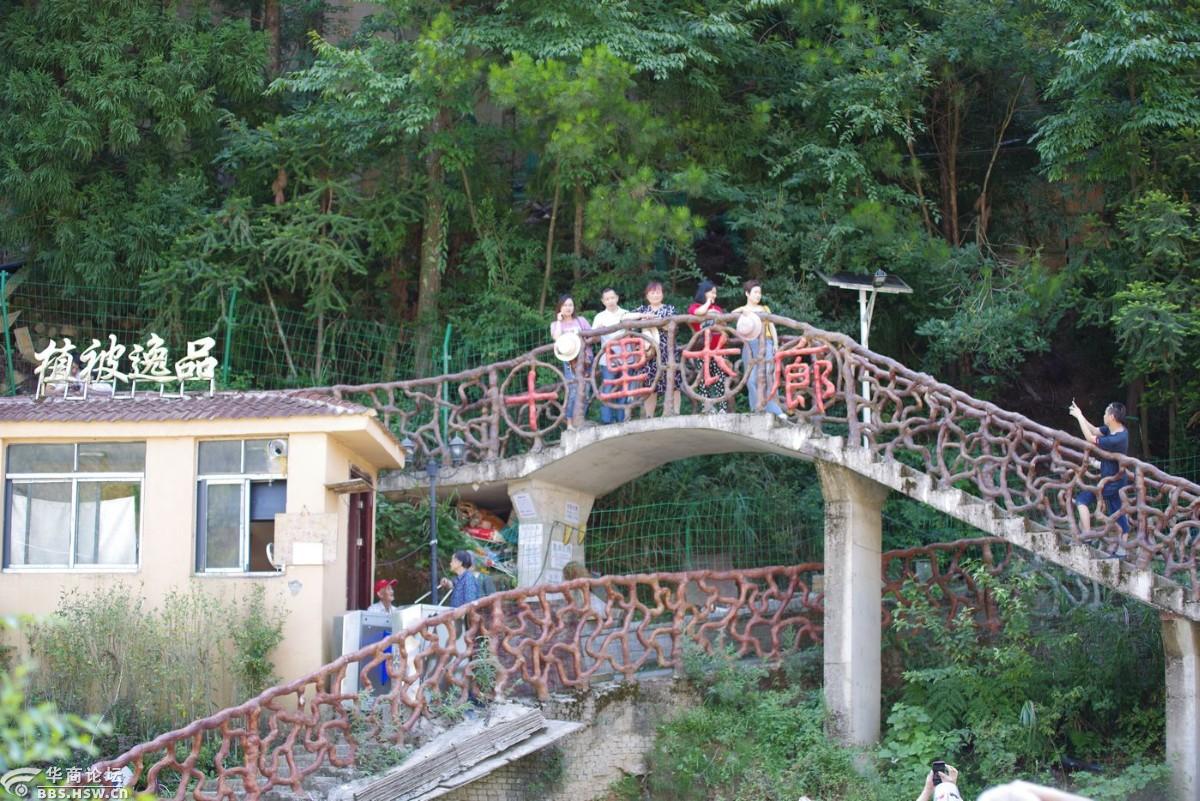 大美湖北苏马荡十里画廊