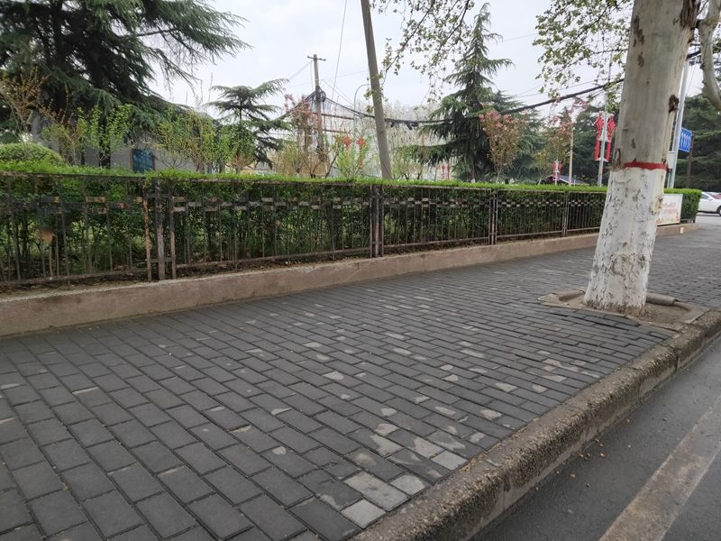大庆路林带外人行道上没盲道 还停放了重重机动车