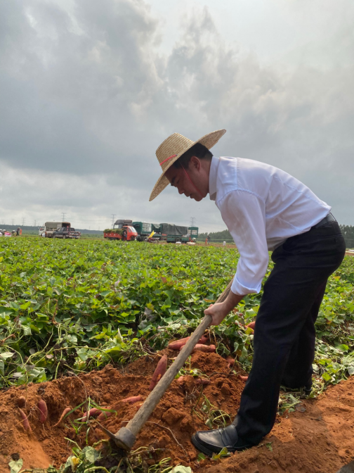 f97x6x3b.png image.png