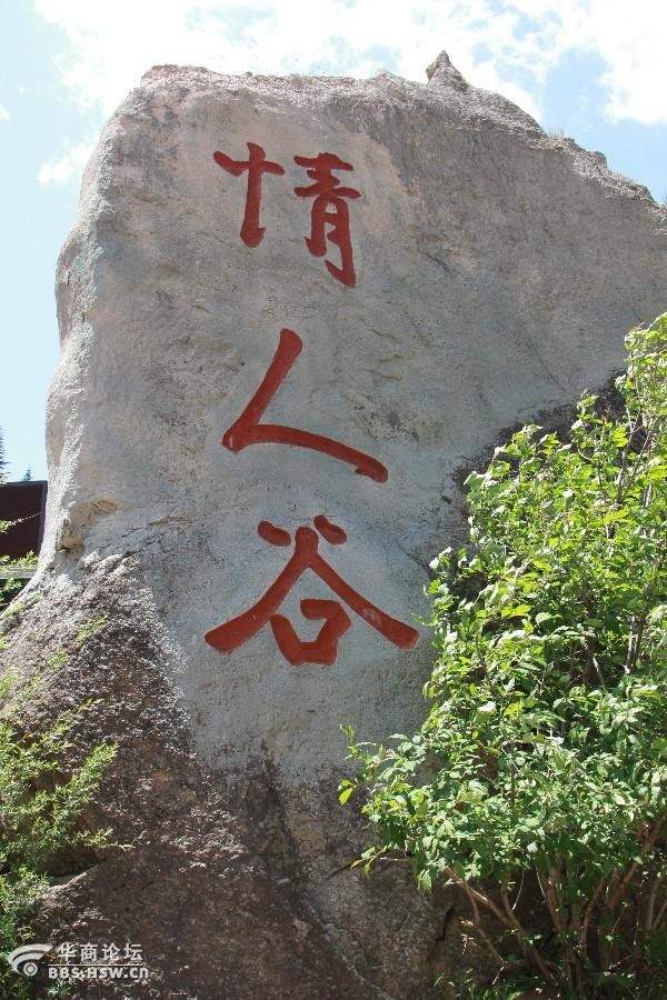 芦芽山情人谷位于山西省宁武县城西 45 公里处的林溪山深处.