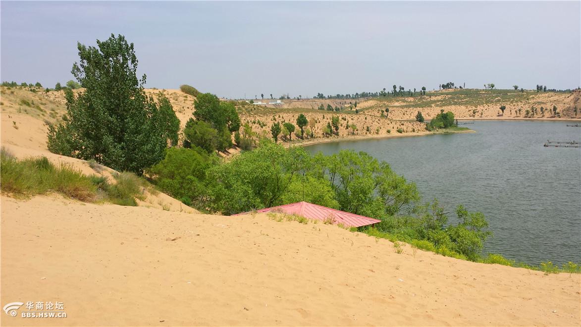 靖边金鸡沙风景