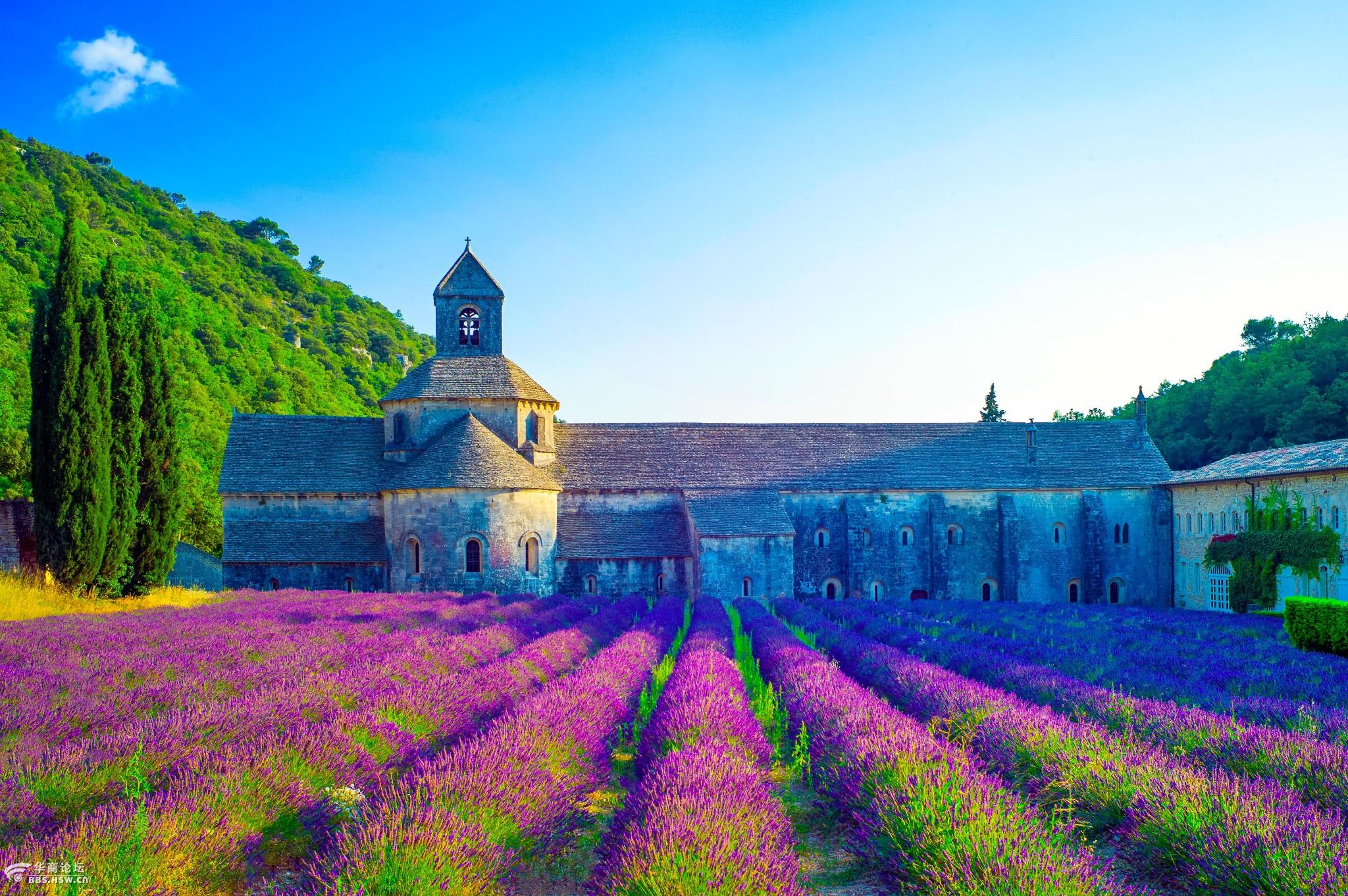 自驾玩转普罗旺斯薰衣草庄园-又见一帘幽梦(每个女孩心中的普罗旺斯)
