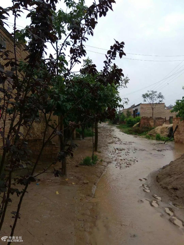 乾县注泔镇南羊牧村主任毁路让群众陷泥潭