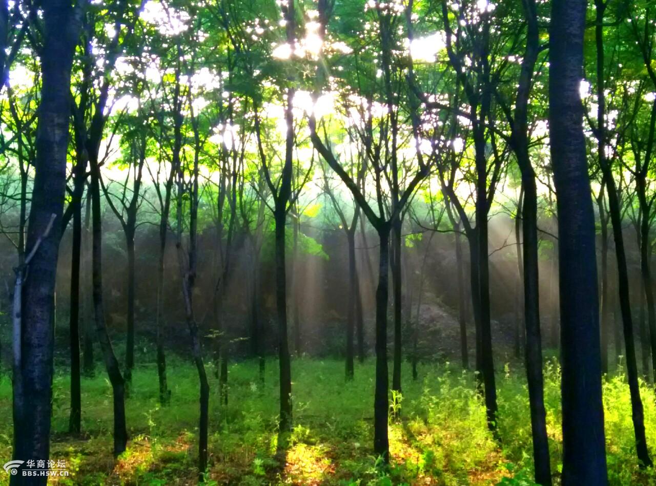 雨后白鹿原的晨光