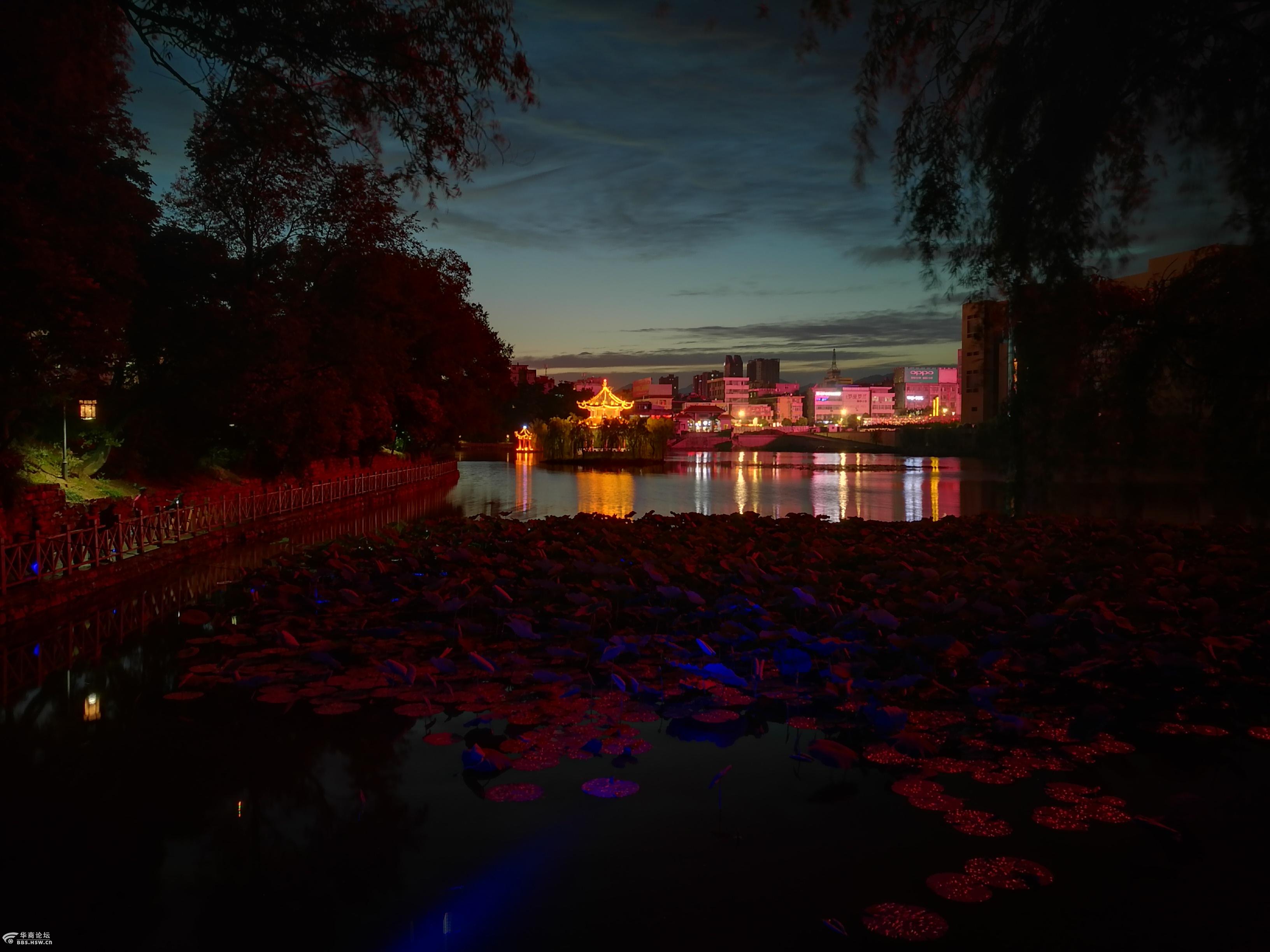 美丽的莲湖公园夜景