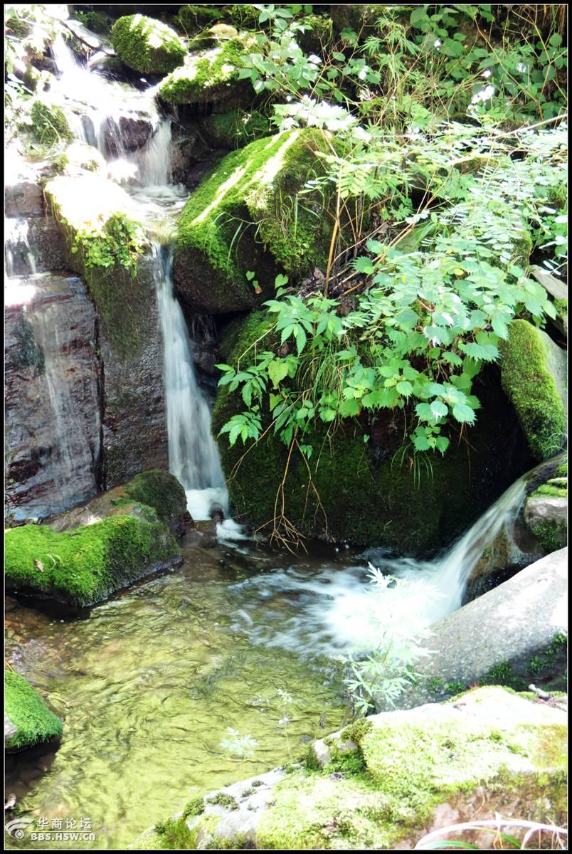 闲游宁陕南梦溪