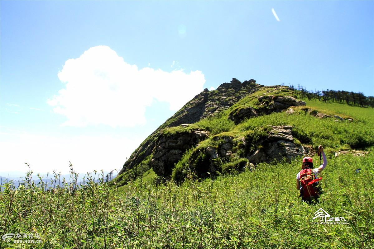 秦岭蒿沟跑马梁一道靓丽的风景线