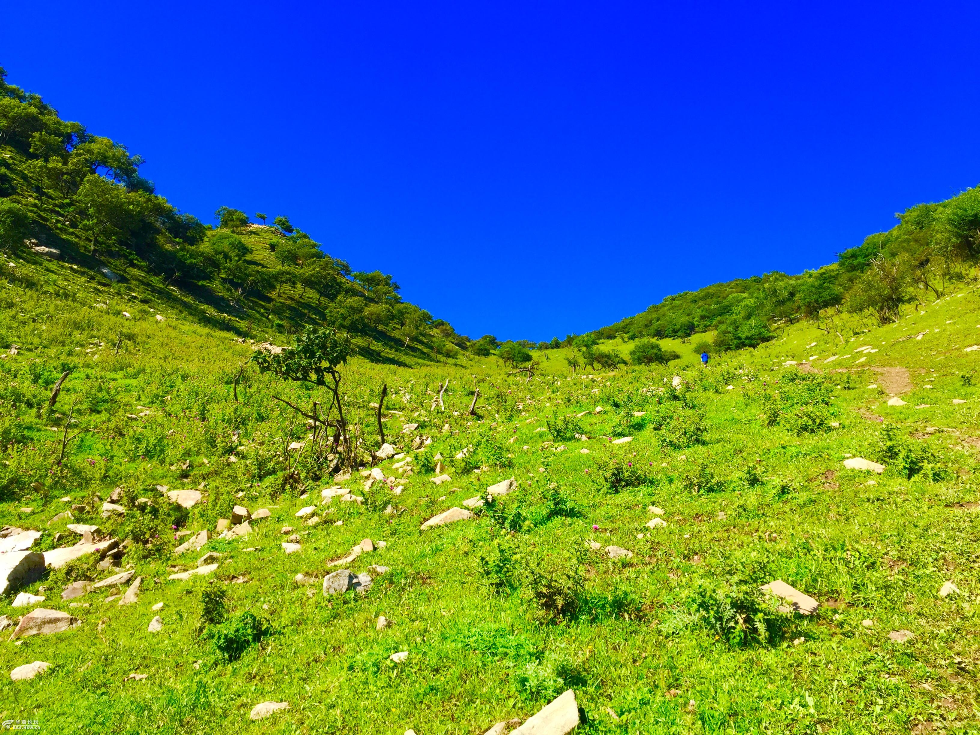 【奇峰户外】山野最美的风景,它就在那里.我们约起来.