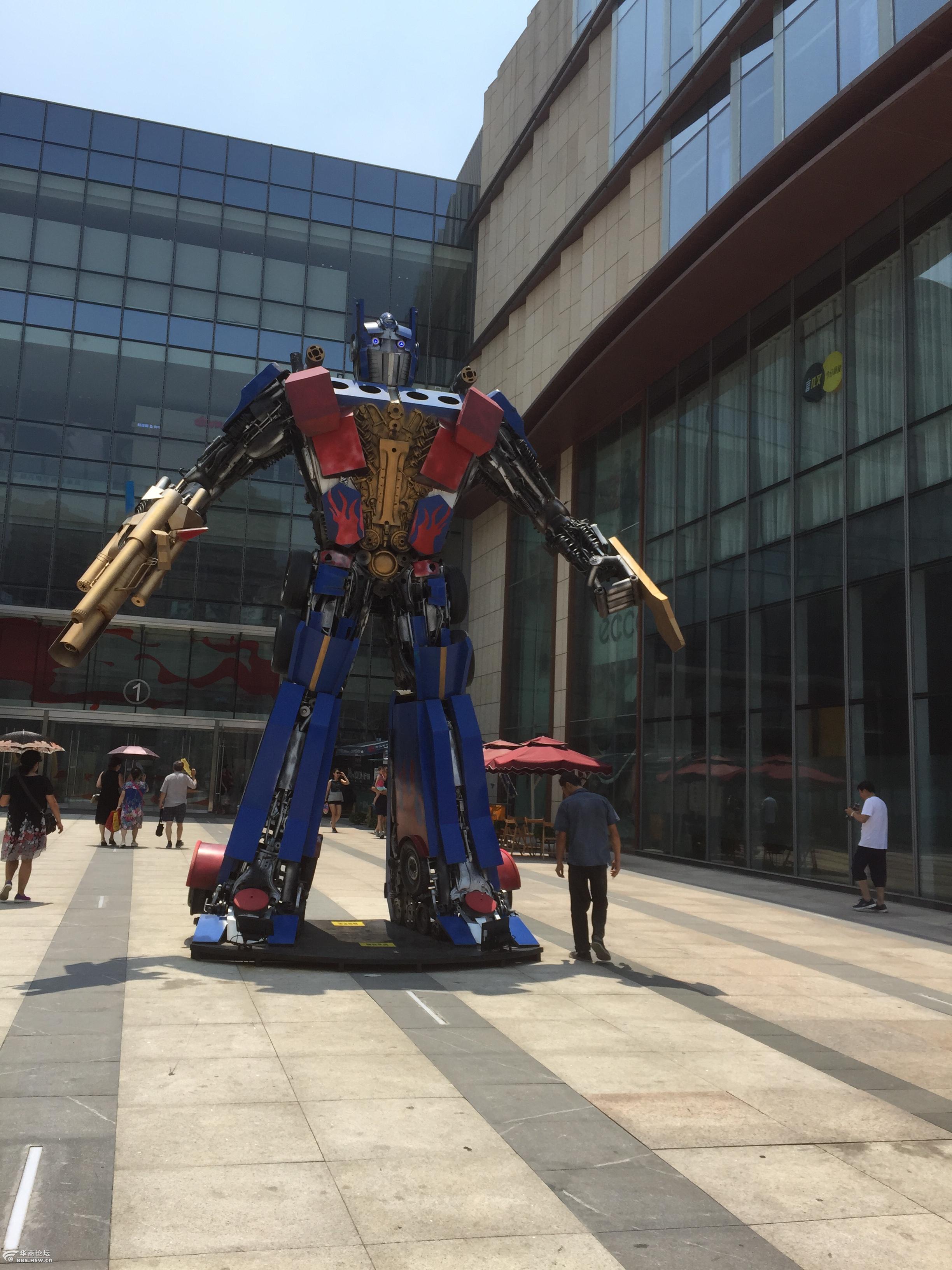 小小放映员章鱼哥保罗来啦