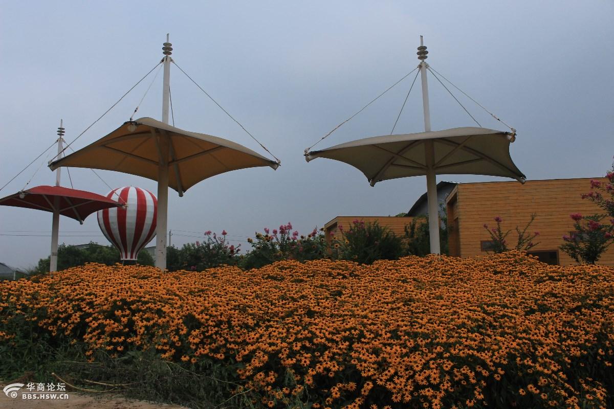 主题白鹿原葡萄主题公园随手拍