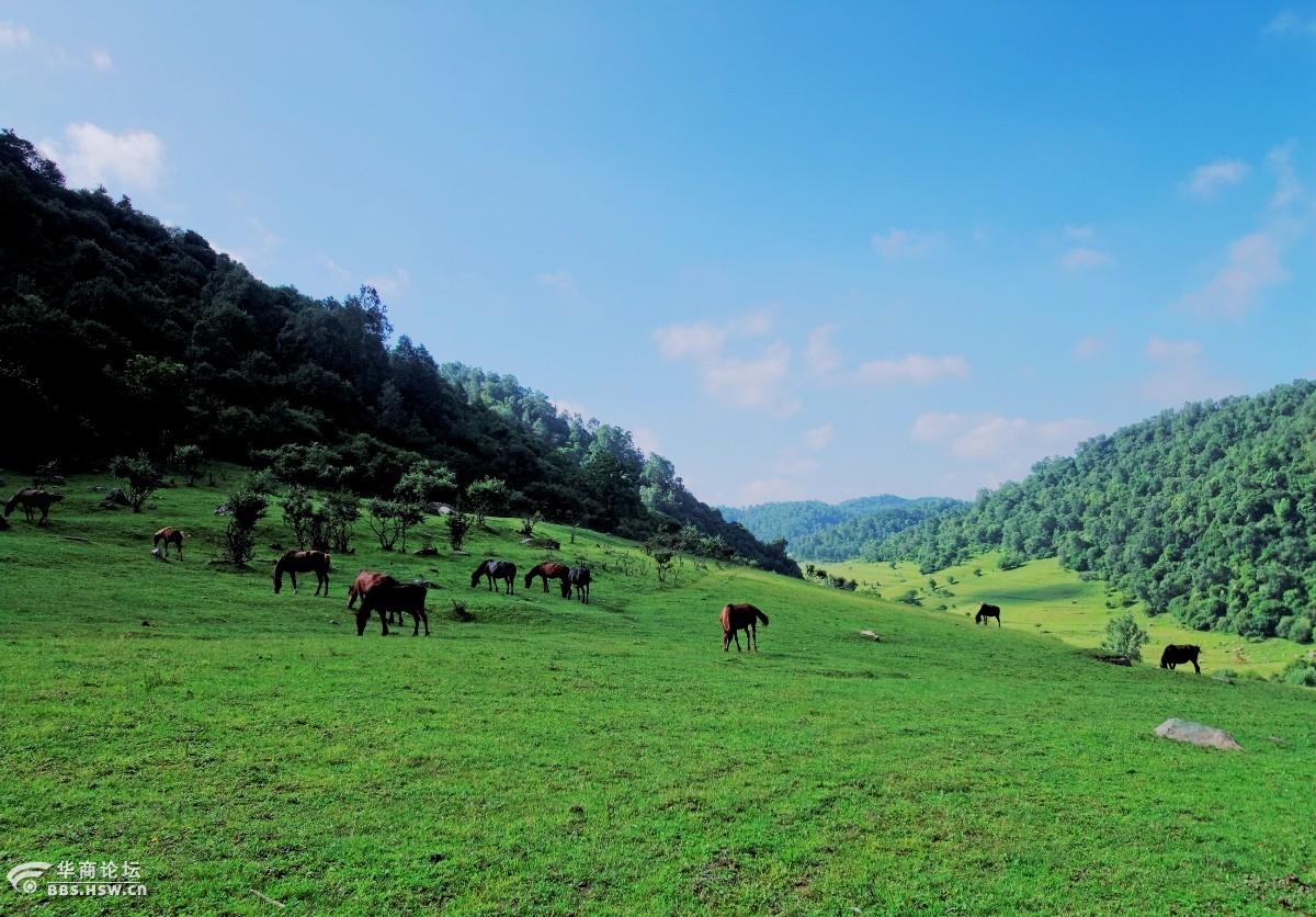 陇川行一跑马溜溜的山上