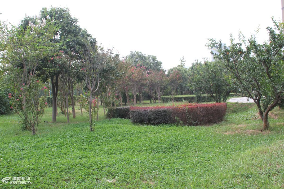 泾阳县郑国广场乱拍组图