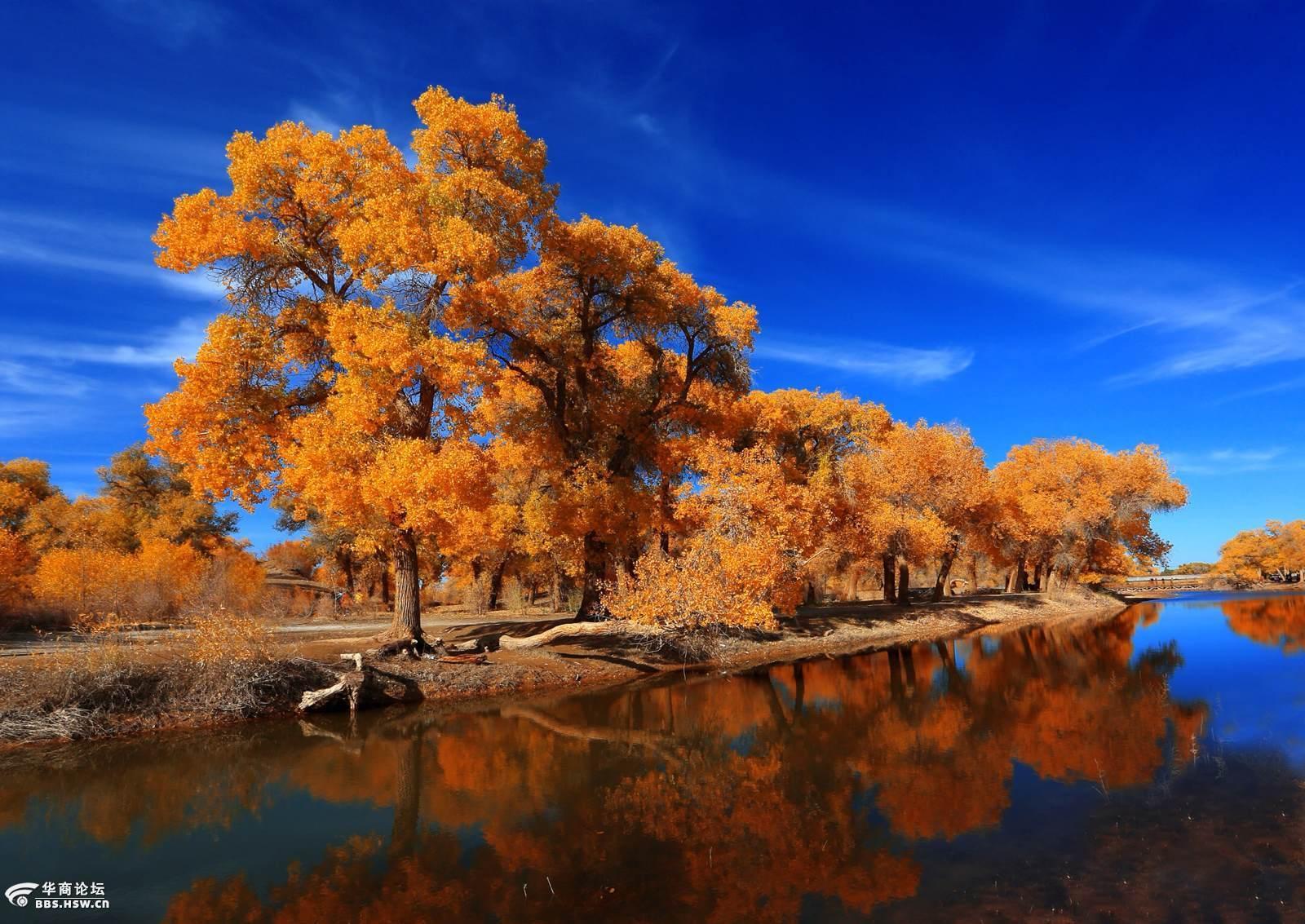 【友谊户外】最美胡杨林摄影六日游一价全含1680/人