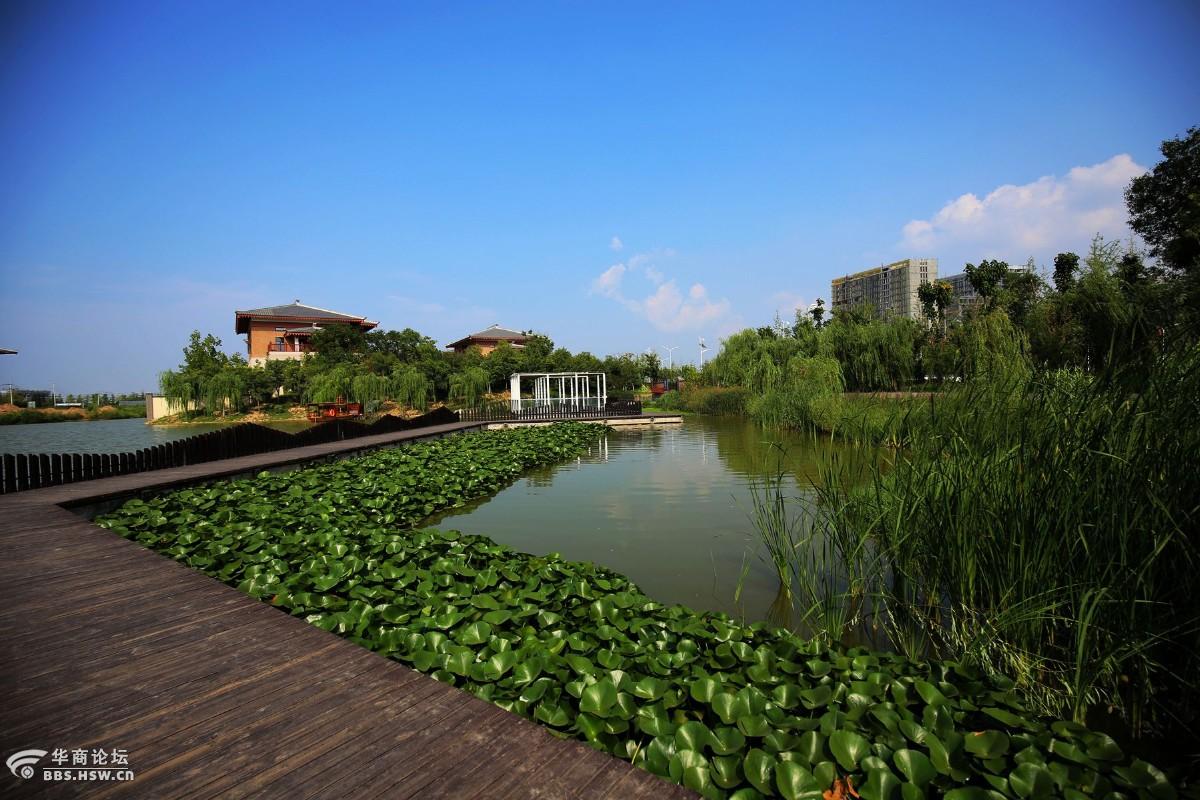 西安浐灞滋水湿地公园掠影