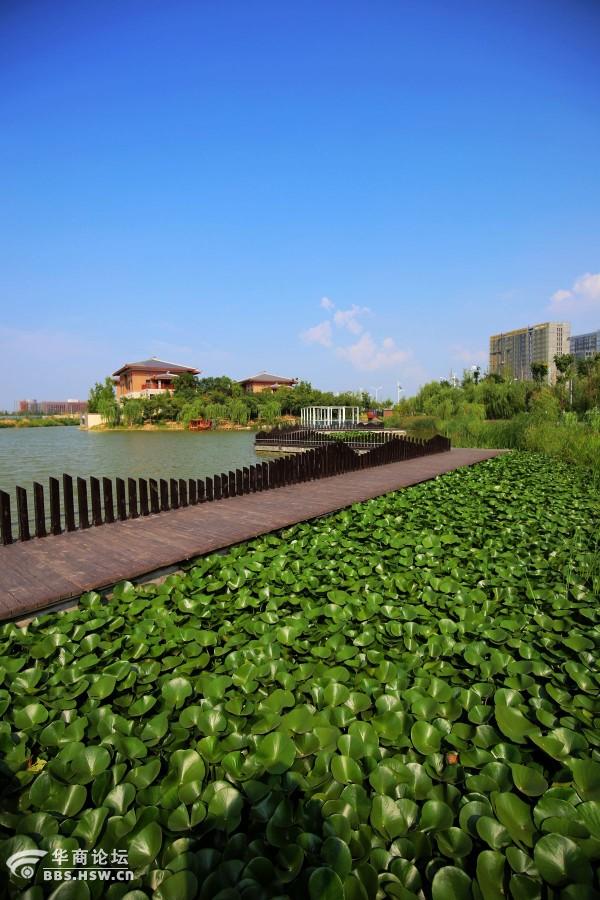 西安浐灞滋水湿地公园掠影
