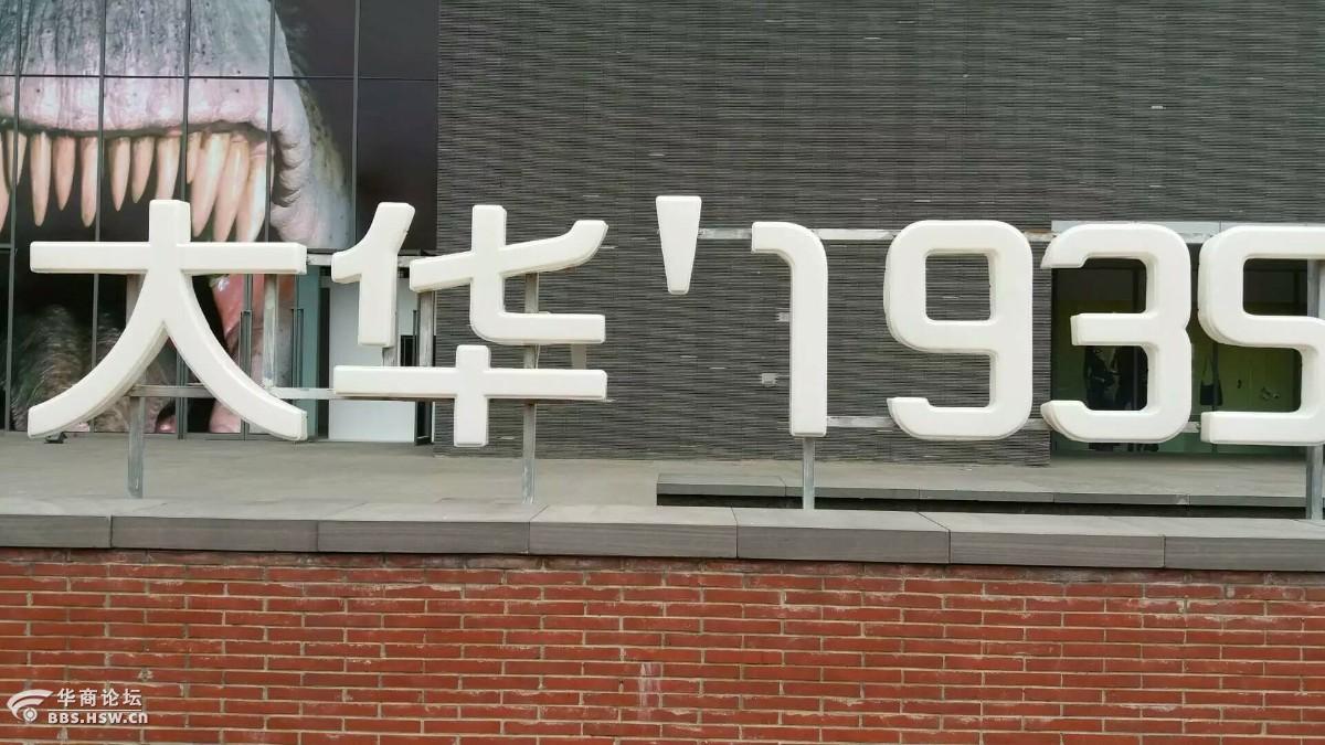 大华1935游记手机拍